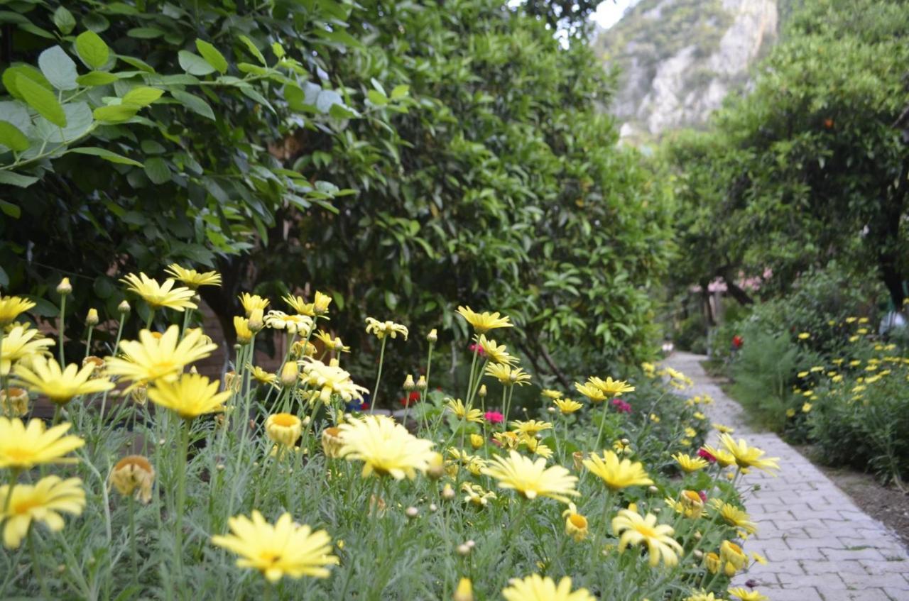 Mercan Pension Όλυμπος Εξωτερικό φωτογραφία