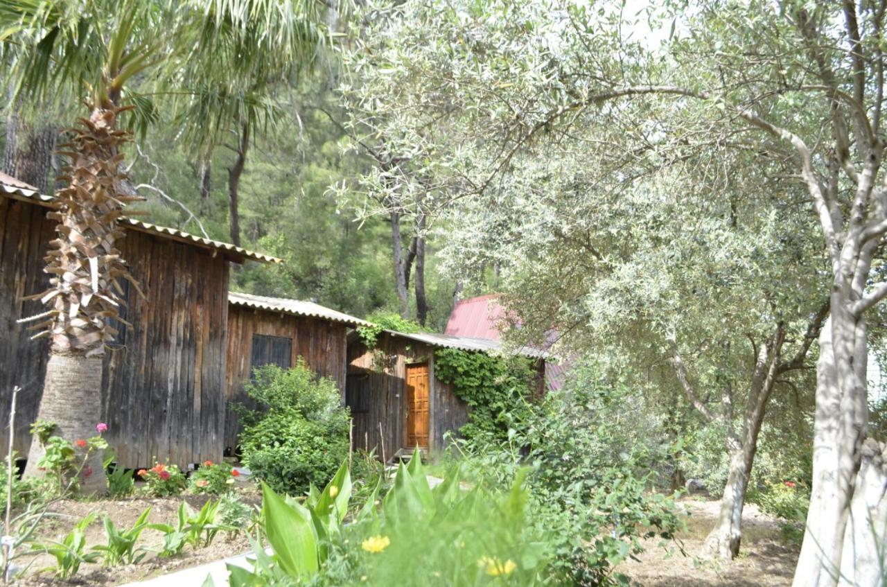 Mercan Pension Όλυμπος Εξωτερικό φωτογραφία