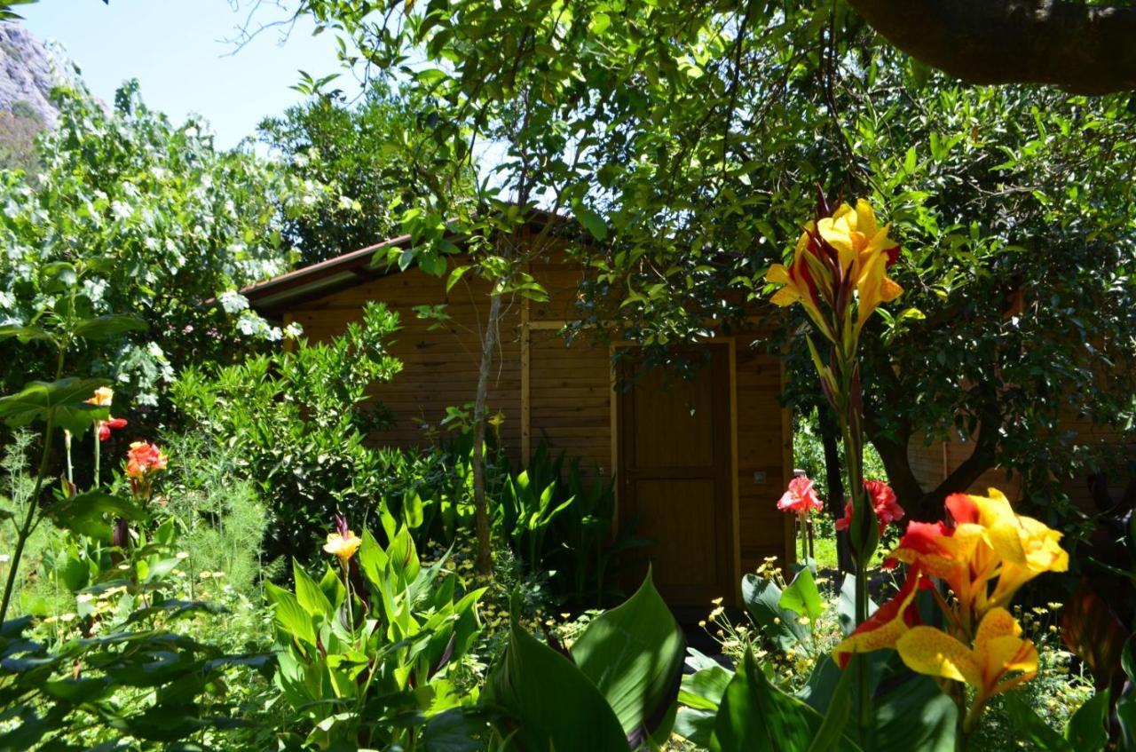 Mercan Pension Όλυμπος Εξωτερικό φωτογραφία