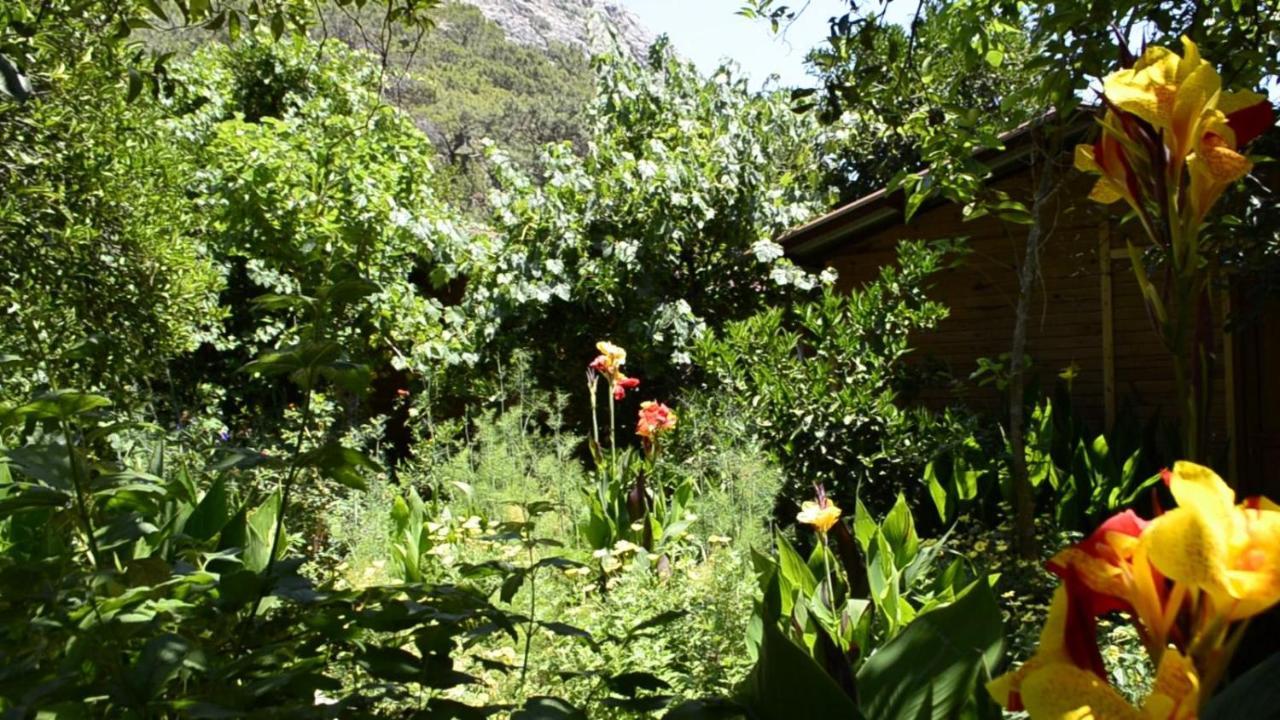 Mercan Pension Όλυμπος Εξωτερικό φωτογραφία